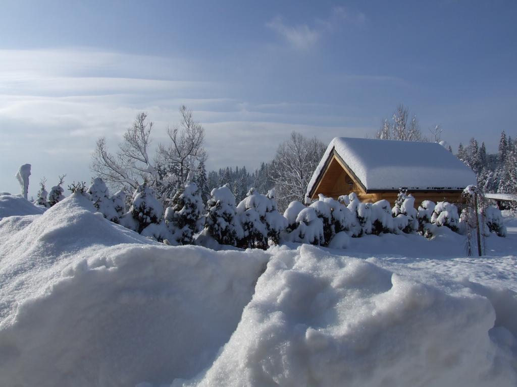 Wynajem Pokoi ,,Gory Tatry Wypoczynek "Pawel Kuczynski Czarna Gora Room photo